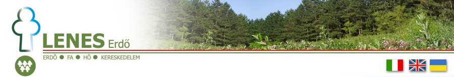 Lenes Group - Forest management